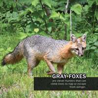 Animals of Arkansas! A My Incredible World Picture Book for Children