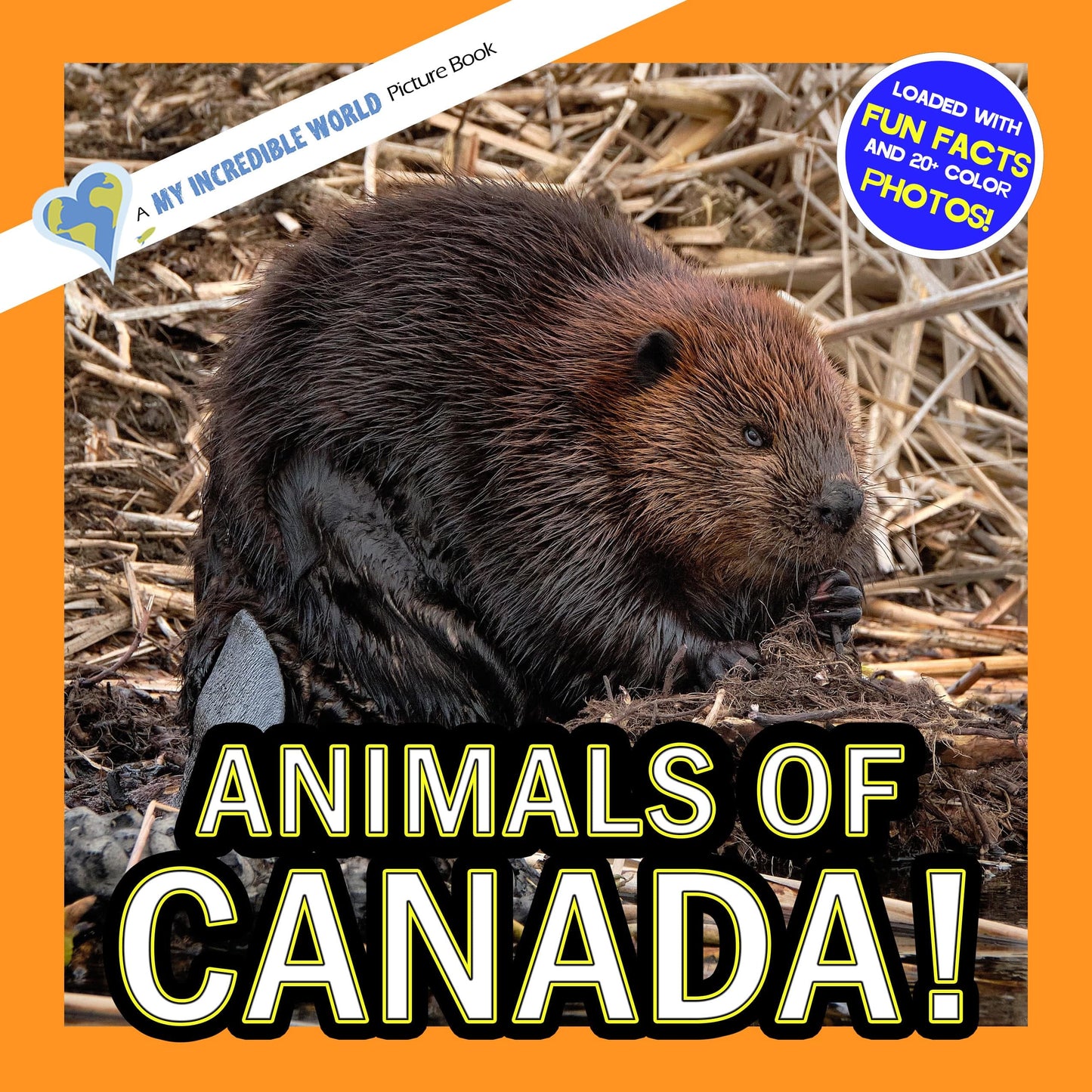 Animals of Canada! A My Incredible World Picture Book for Children