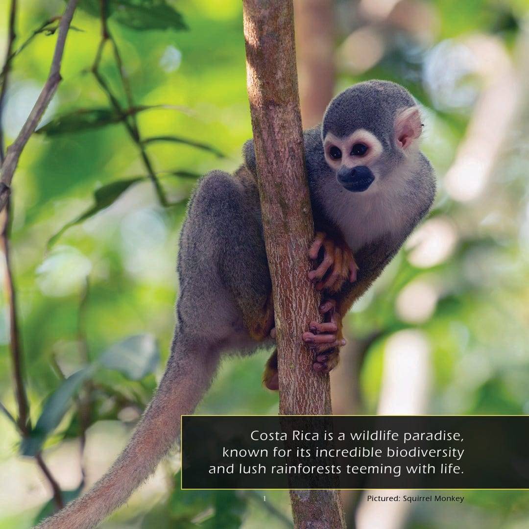 Animals of Costa Rica! A My Incredible World Picture Book for Children