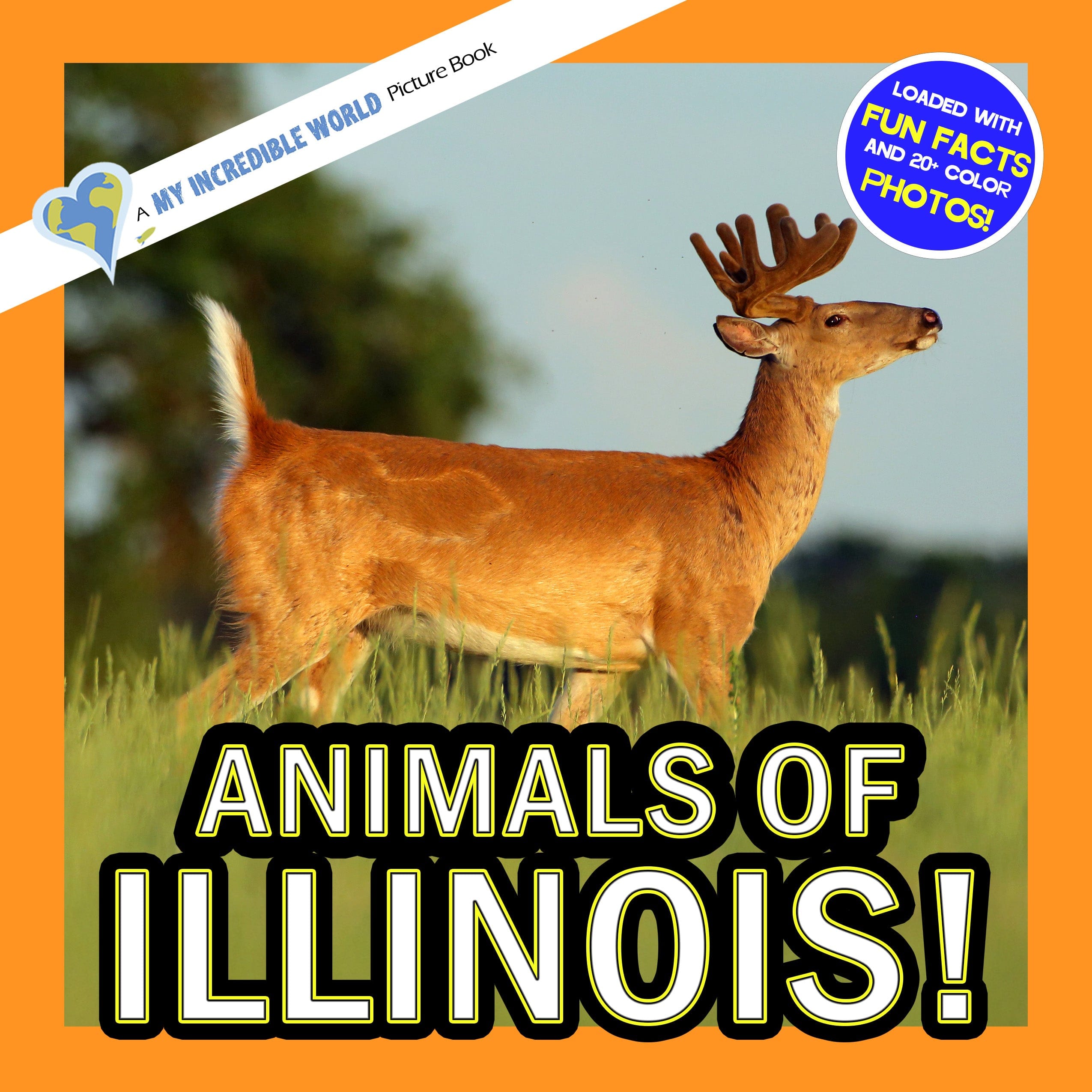 Animals of Illinois! A My Incredible World Picture Book for Children