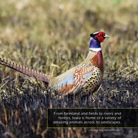 Animals of Iowa! A My Incredible World Picture Book for Children