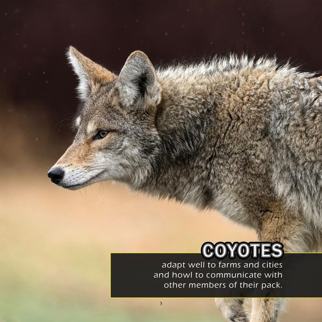 Animals of Kansas! A My Incredible World Picture Book For Children