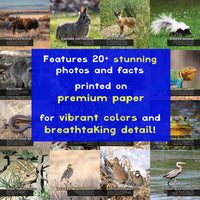 Animals of Kansas! A My Incredible World Picture Book For Children