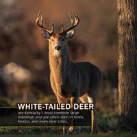 Animals of Kentucky! A My Incredible World Picture Book for Children