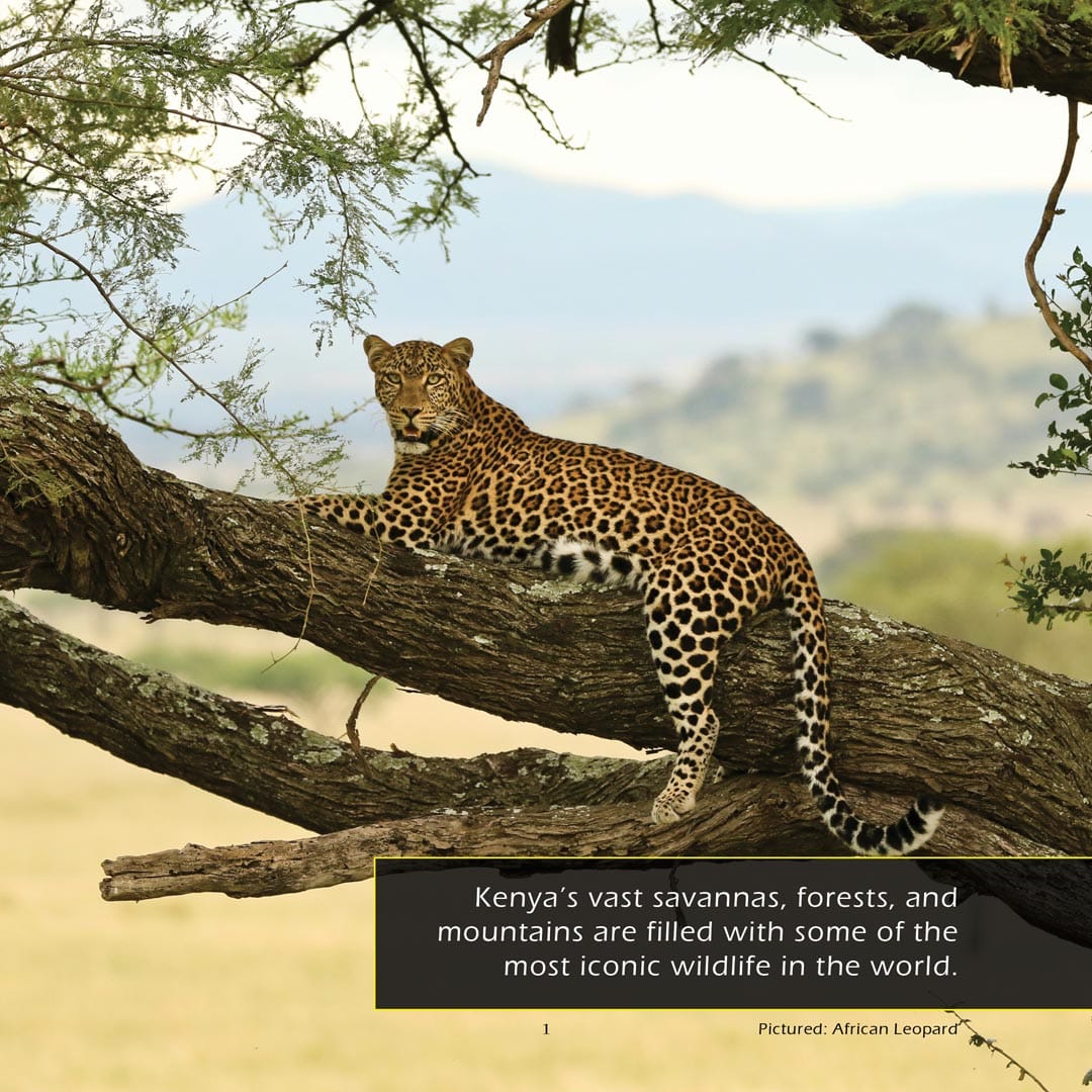 Animals of Kenya! A My Incredible World Picture Book for Children