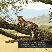Animals of Kenya! A My Incredible World Picture Book for Children