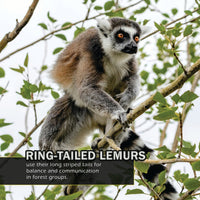 Animals of Madagascar! A My Incredible World Picture Book for Children