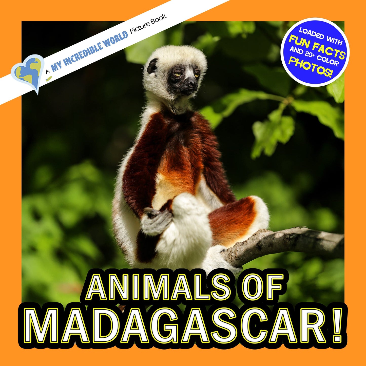 Animals of Madagascar! A My Incredible World Picture Book for Children