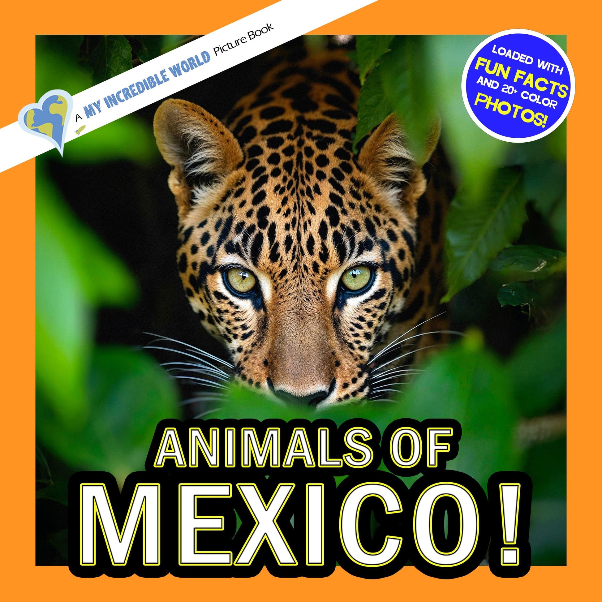Animals of Mexico! A My Incredible World Picture Book for Children