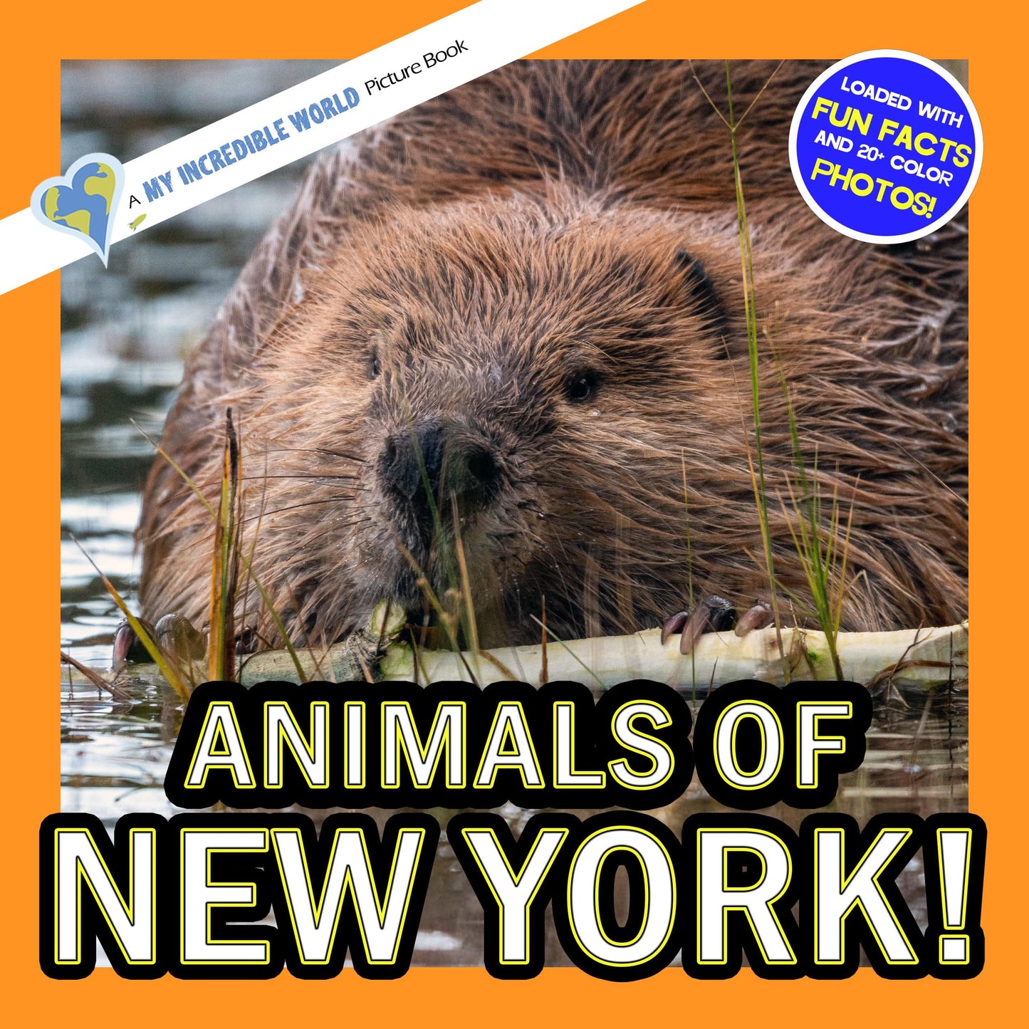 Animals of New York! A My Incredible World Picture Book for Children