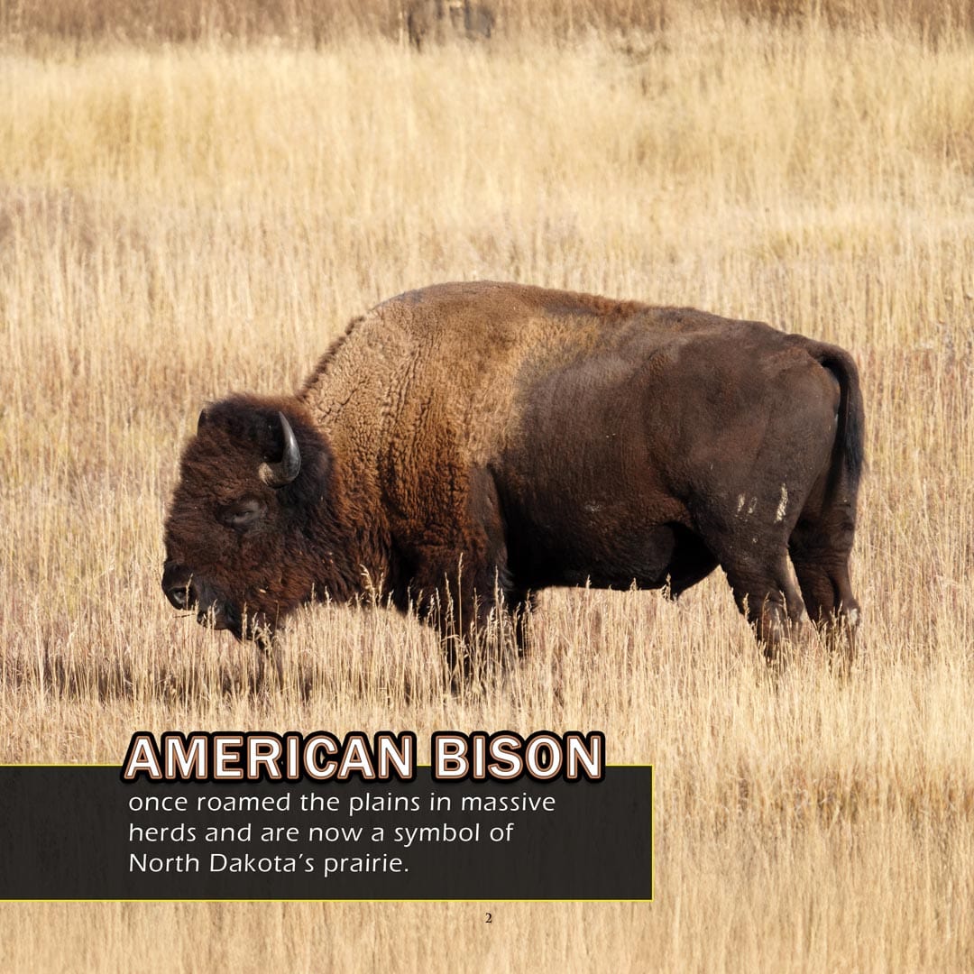 Animals of North Dakota! A My Incredible World Picture Book for Children