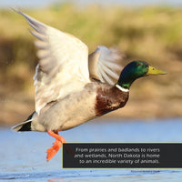 Animals of North Dakota! A My Incredible World Picture Book for Children