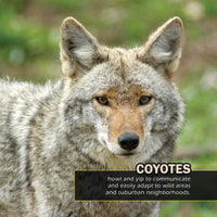 Animals of Rhode Island! A My Incredible World Picture Book for Children
