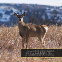 Animals of South Dakota! A My Incredible World Picture Book for Children