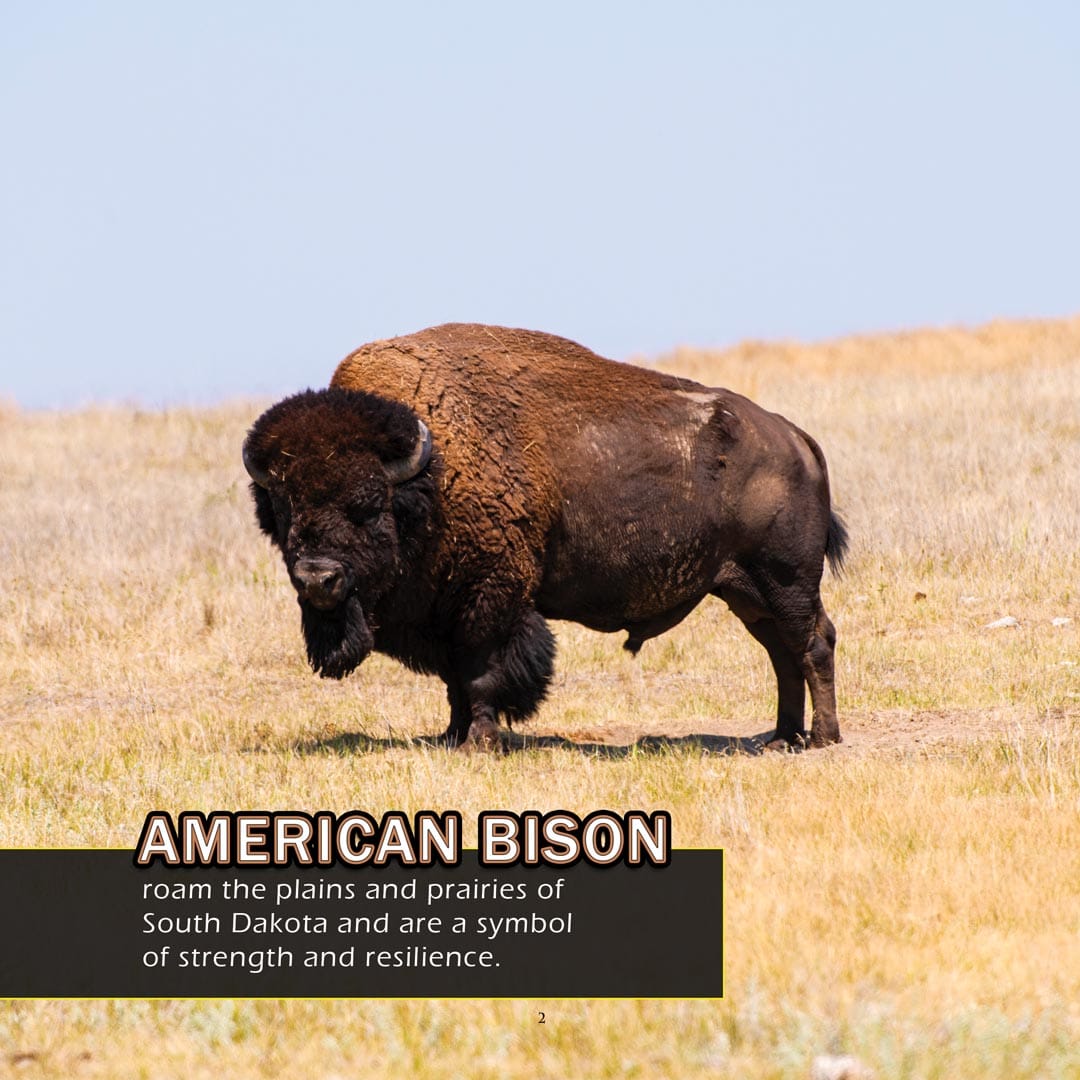 Animals of South Dakota! A My Incredible World Picture Book for Children