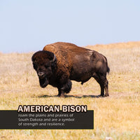 Animals of South Dakota! A My Incredible World Picture Book for Children