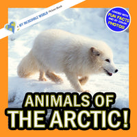 Animals of the Arctic! A My Incredible World Picture Book for Children