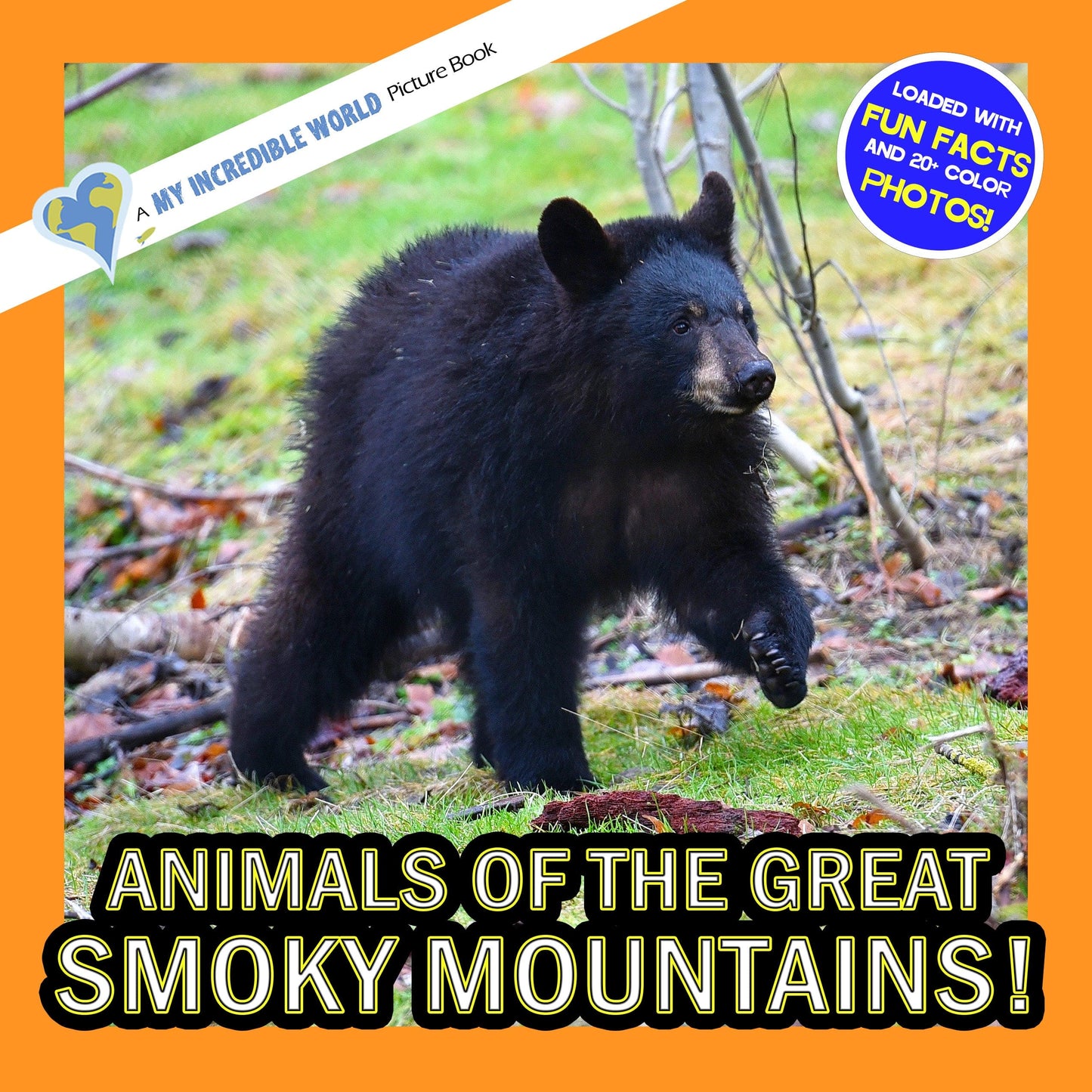 Animals of the Great Smoky Mountains! A My Incredible World Picture Book for Children