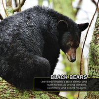 Animals of West Virginia! A My Incredible World Picture Book for Children