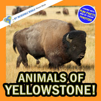 Animals of Yellowstone! A My Incredible World Picture Book for Children