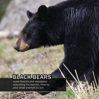 Animals of Yosemite! A My Incredible World Picture Book for Children