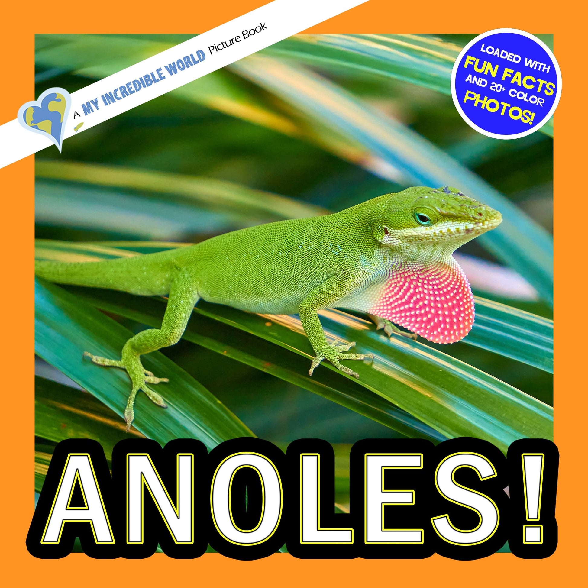 Anoles! A My Incredible World Picture Book for Children