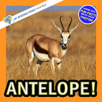Antelope! A My Incredible World Picture Book for Children