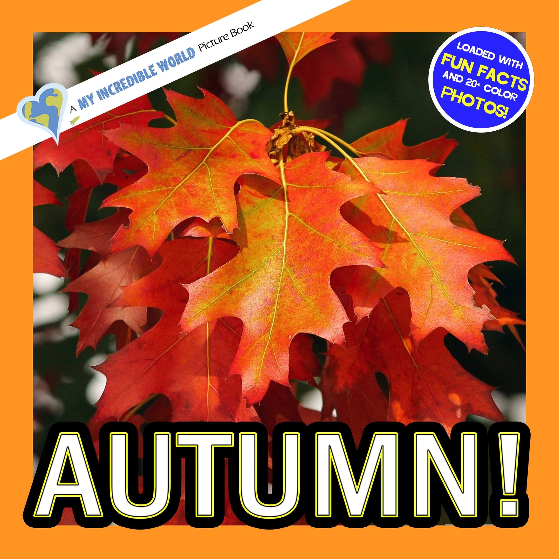 Autumn! A My Incredible World Picture Book for Children