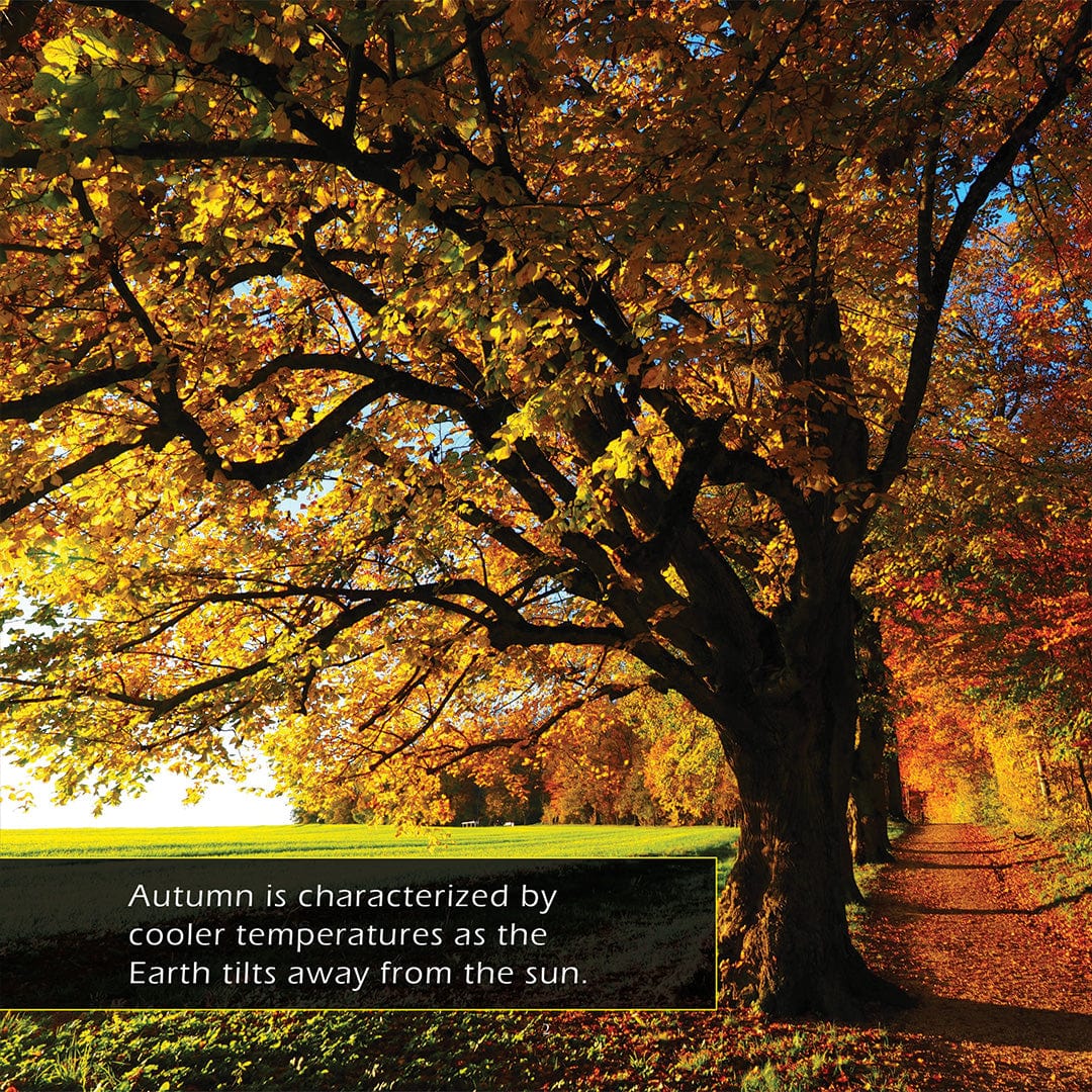 Autumn! A My Incredible World Picture Book for Children