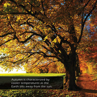 Autumn! A My Incredible World Picture Book for Children