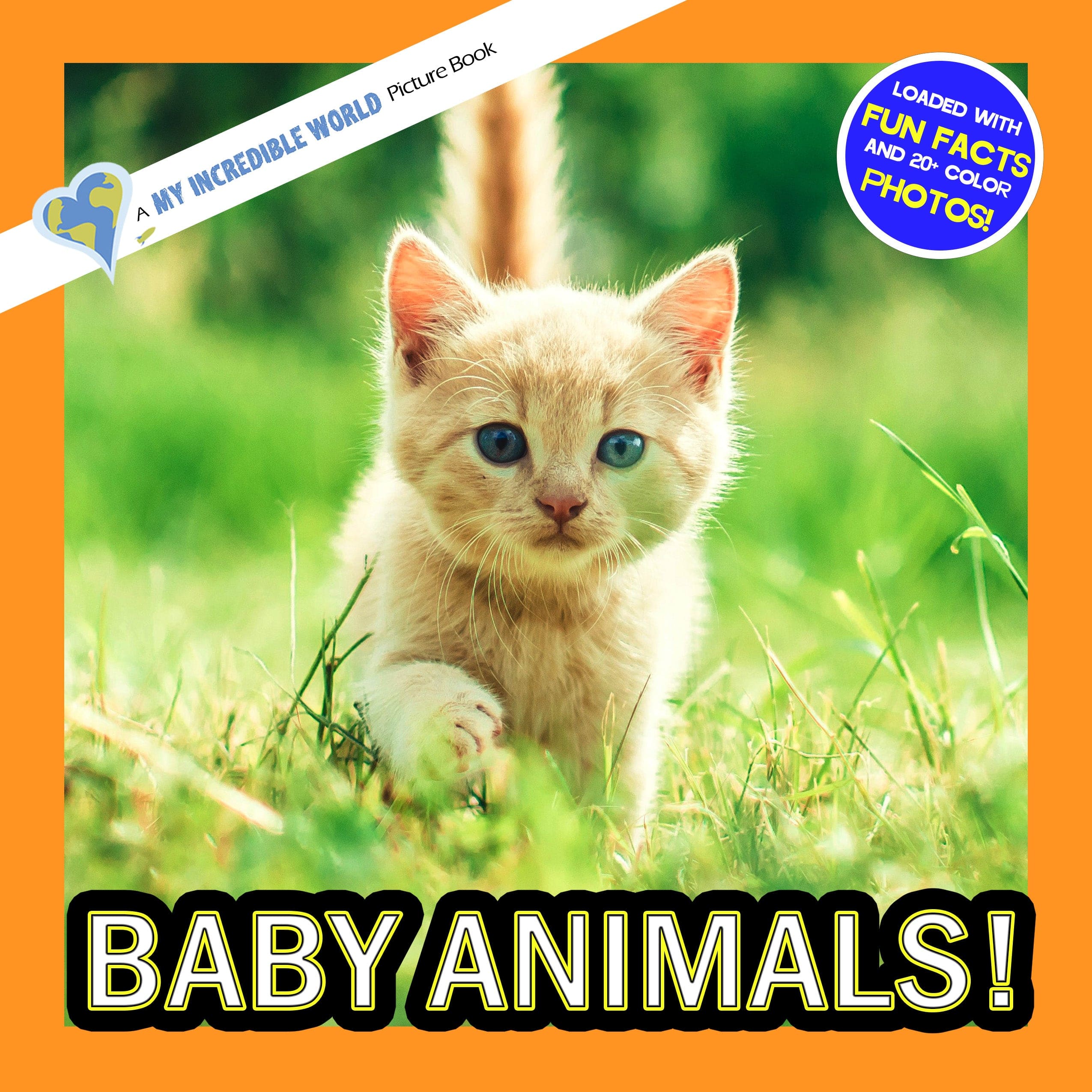 Baby Animals! A My Incredible World Picture Book for Children