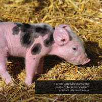 Baby Farm Animals! A My Incredible World Picture Book for Children
