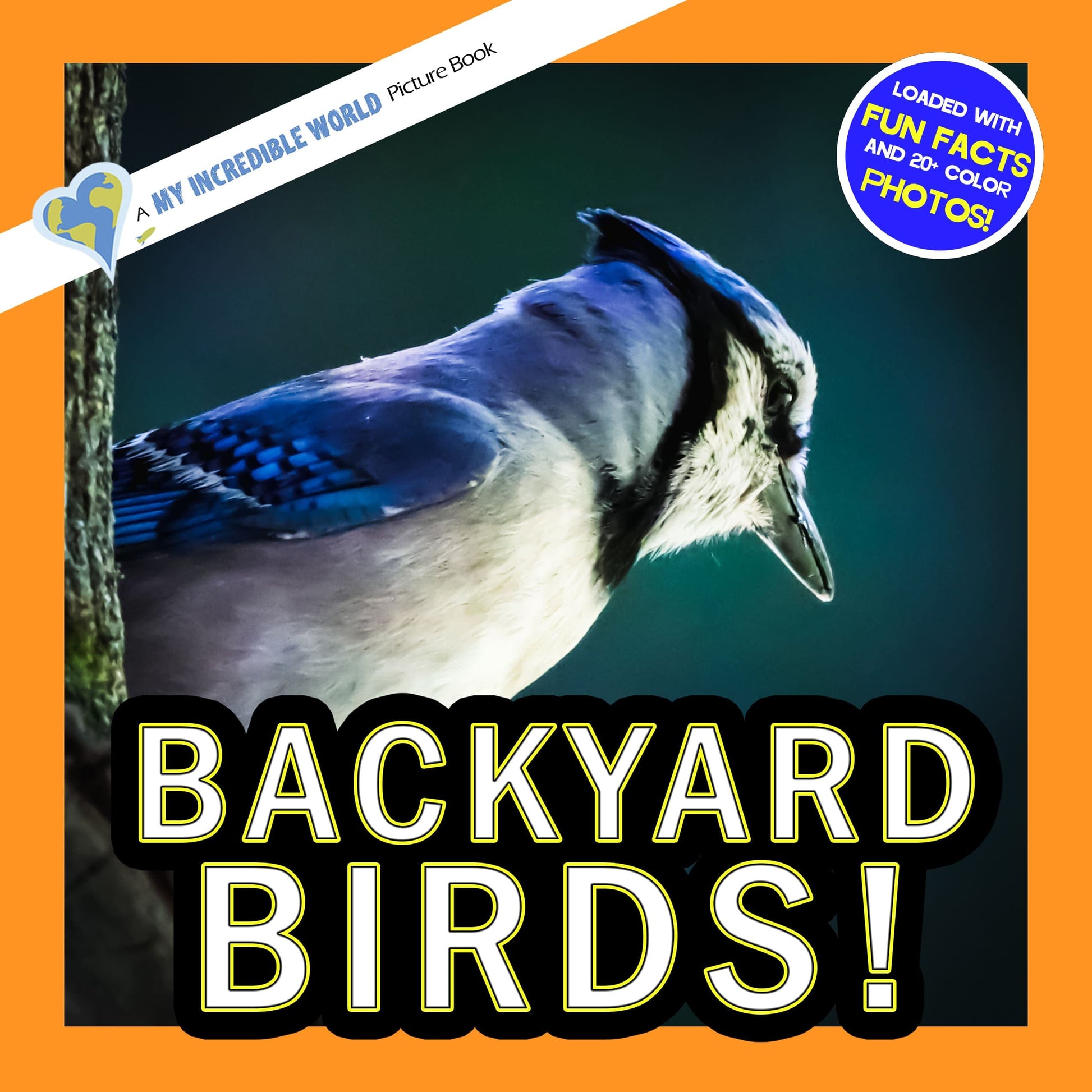 Backyard Birds! A My Incredible World Picture Book for Children