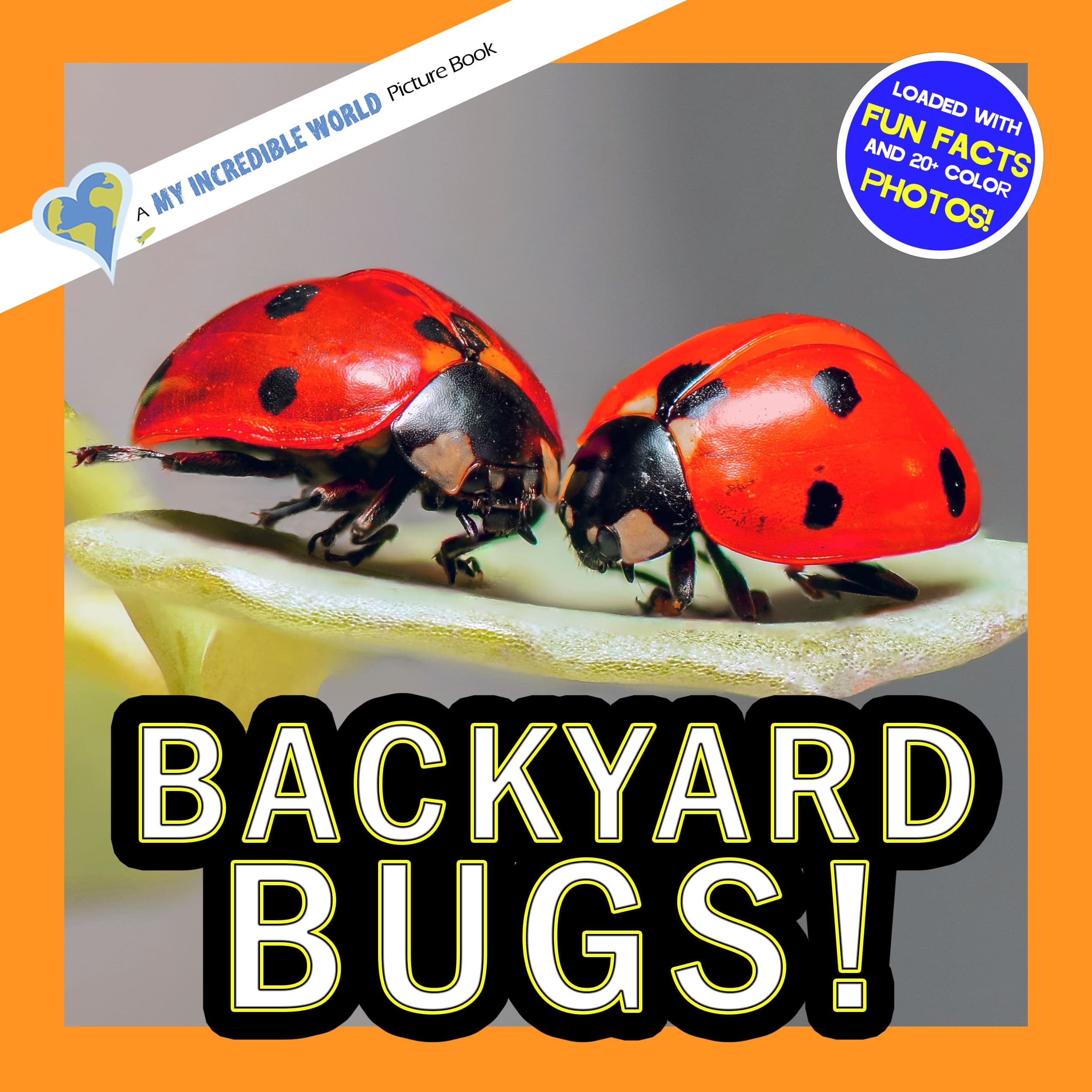 Backyard Bugs! A My Incredible World Picture Book for Children