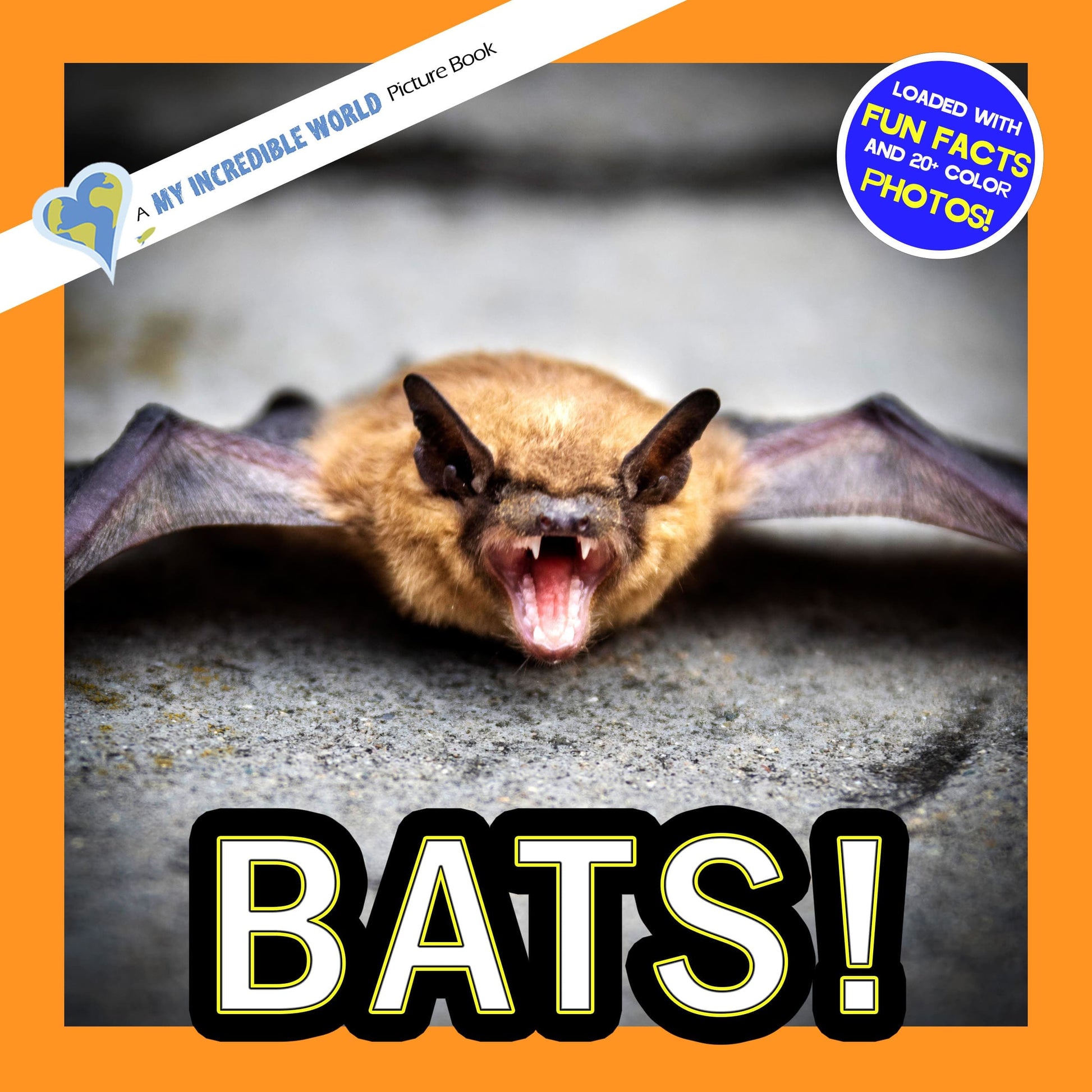 Bats! A My Incredible World Picture Book for Children