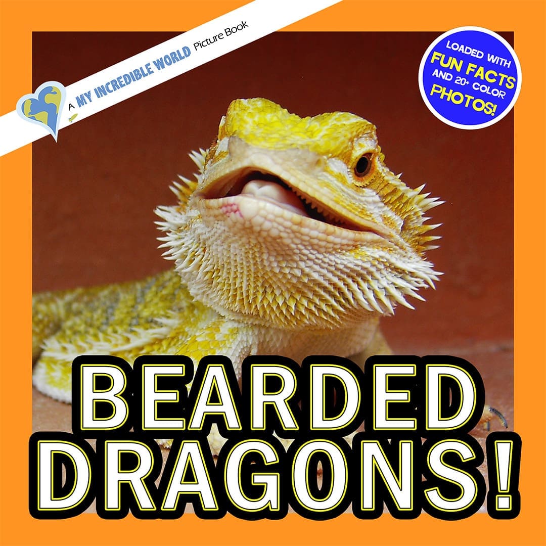 Bearded Dragons! A My Incredible World Picture Book for Children