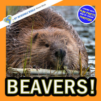 Beavers! A My Incredible World Picture Book for Children