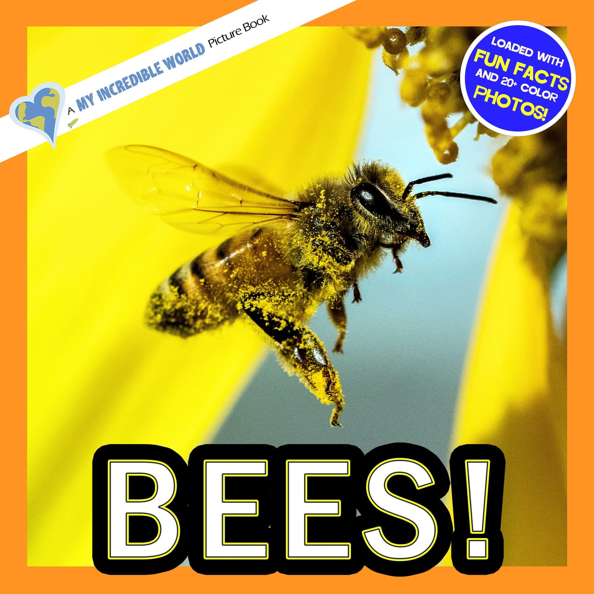 Bees! A My Incredible World Picture Book for Children