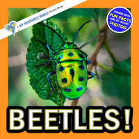 Beetles! A My Incredible World Picture Book for Children