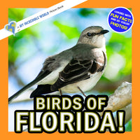 Birds of Florida! A My Incredible World Picture Book for Children