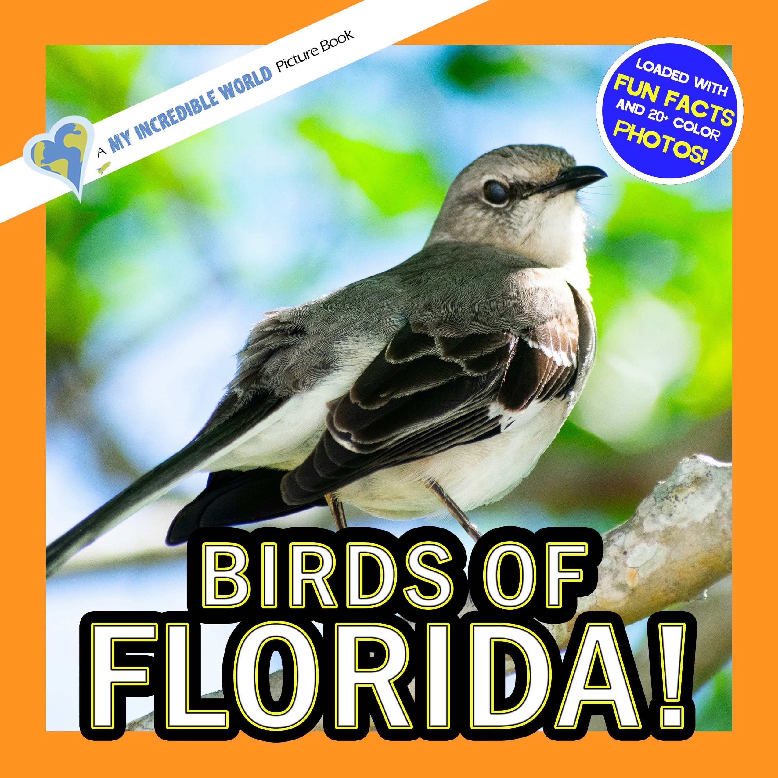 Birds of Florida! A My Incredible World Picture Book for Children