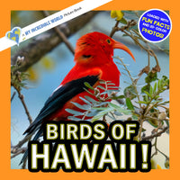 Birds of Hawaii! A My Incredible World Picture Book for Children
