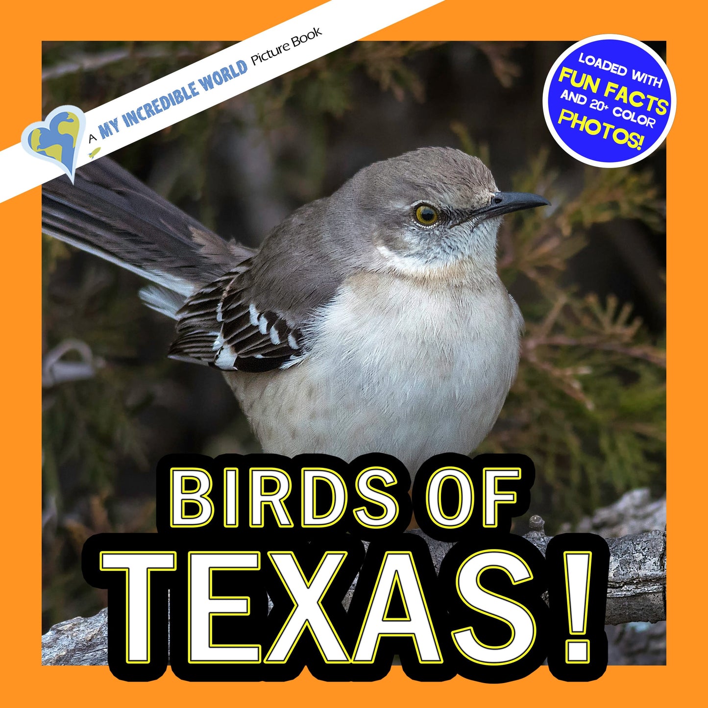 Birds of Texas! A My Incredible World Picture Book for Children