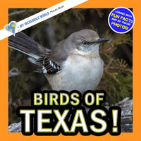 Birds of Texas! A My Incredible World Picture Book for Children