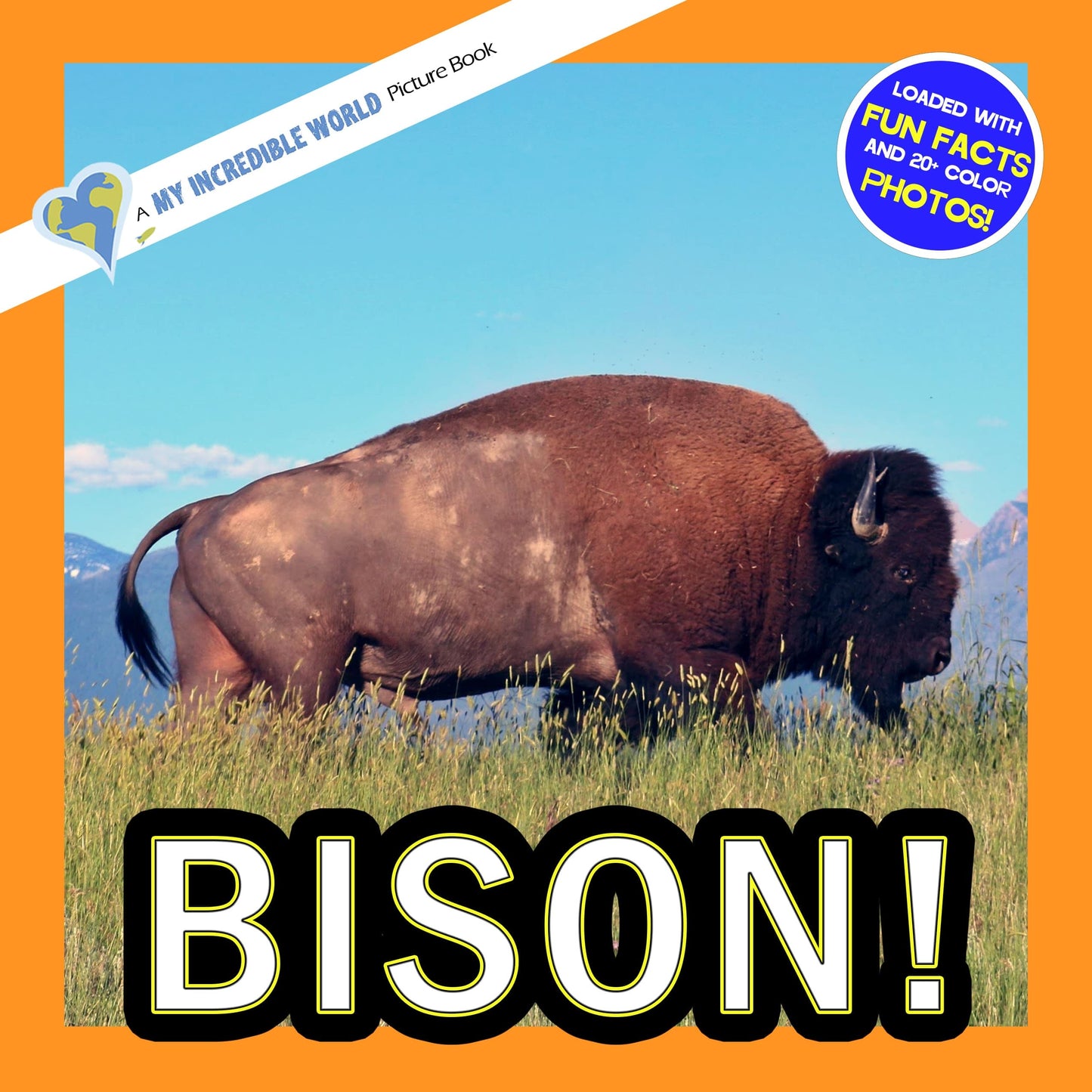 Bison! A My Incredible World Picture Book for Children