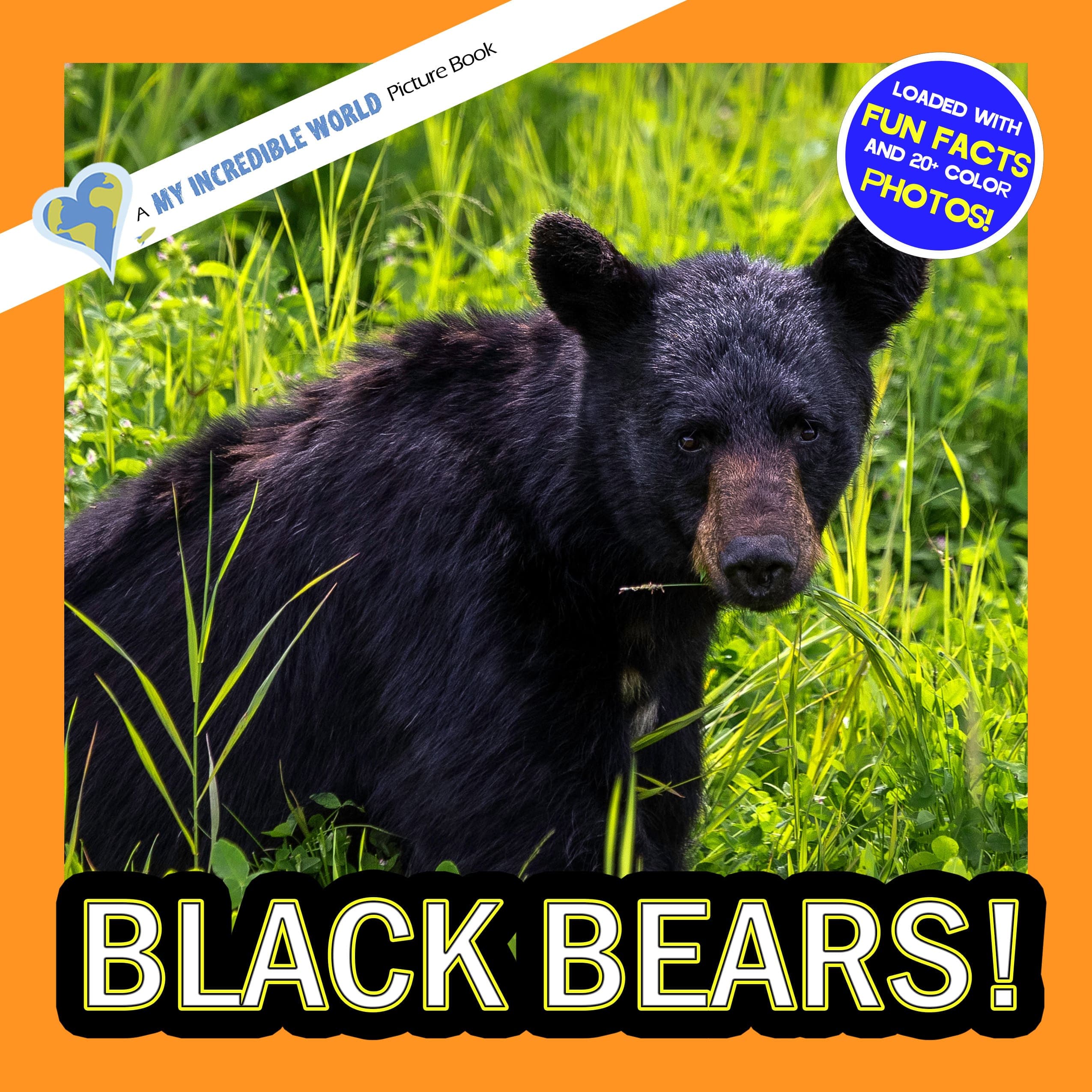 Black Bears! A My Incredible World Picture Book for Children