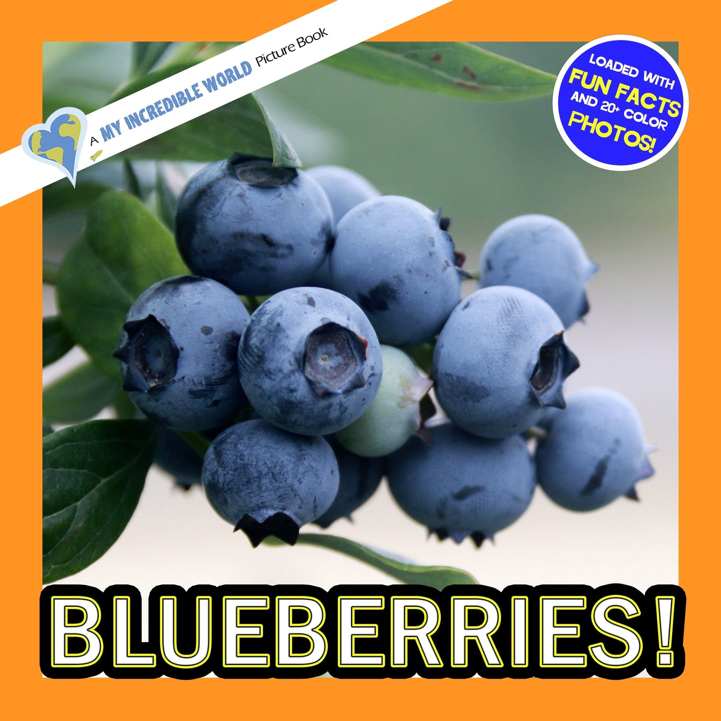 Blueberries! A My Incredible World Picture Book for Children