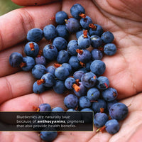 Blueberries! A My Incredible World Picture Book for Children