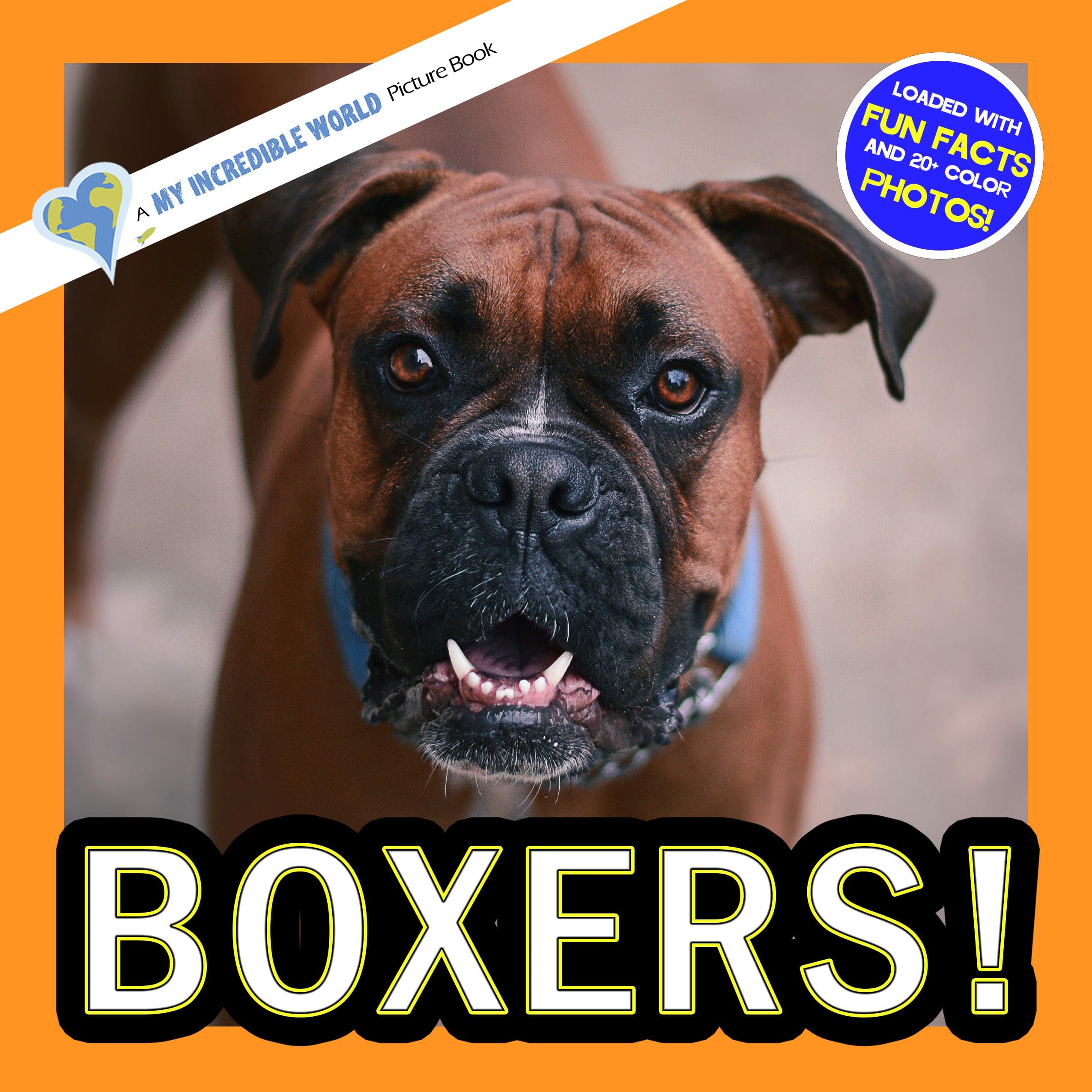 Boxers! A My Incredible World Picture Book for Children