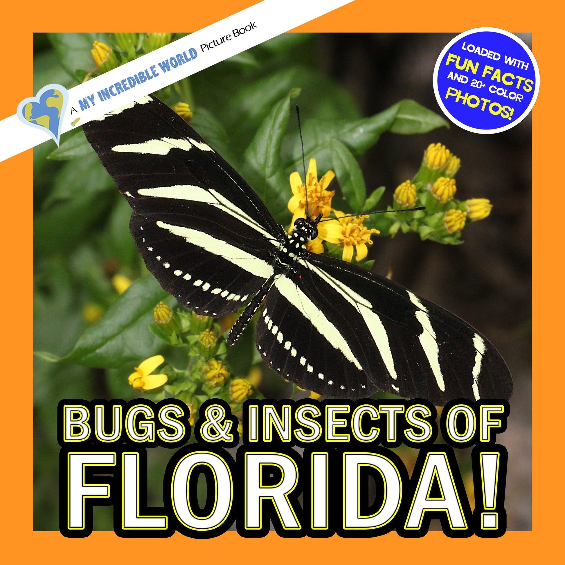 Bugs & Insects of Florida! A My Incredible World Picture Book for Children